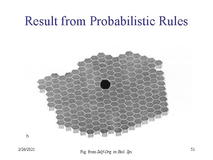 Result from Probabilistic Rules 2/26/2021 Fig. from Self-Org. in Biol. Sys. 51 