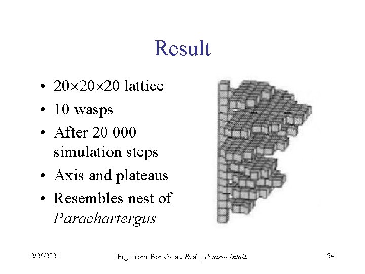 Result • 20 20 20 lattice • 10 wasps • After 20 000 simulation