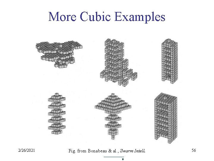 More Cubic Examples 2/26/2021 Fig. from Bonabeau & al. , Swarm Intell. 56 