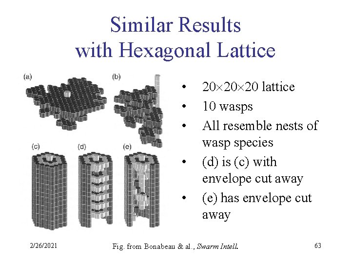 Similar Results with Hexagonal Lattice • • • 2/26/2021 20 20 20 lattice 10