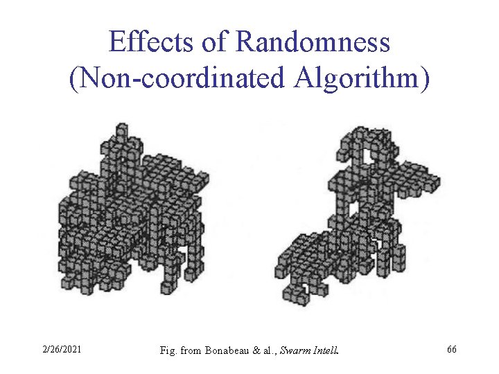 Effects of Randomness (Non-coordinated Algorithm) 2/26/2021 Fig. from Bonabeau & al. , Swarm Intell.