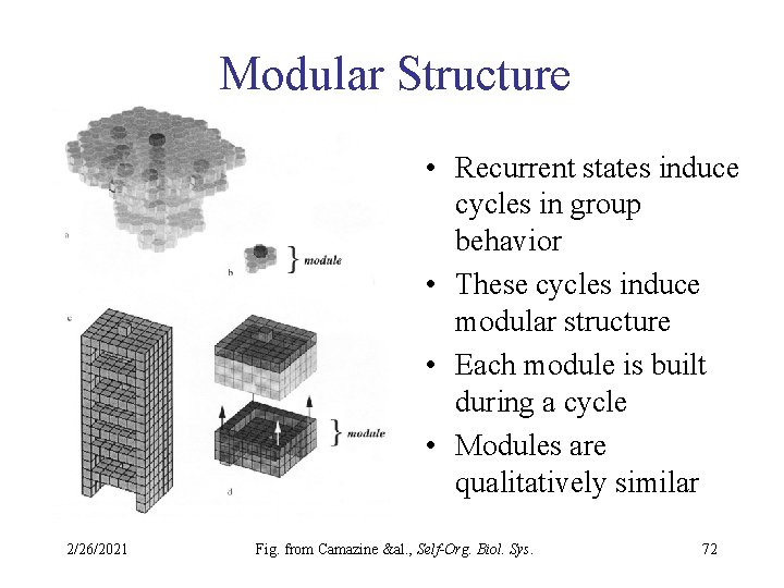 Modular Structure • Recurrent states induce cycles in group behavior • These cycles induce
