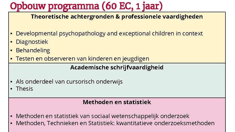 Opbouw programma (60 EC, 1 jaar) Theoretische achtergronden & professionele vaardigheden • • Developmental