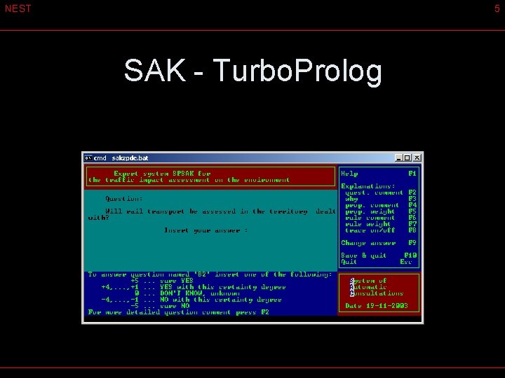 NEST 5 SAK - Turbo. Prolog 