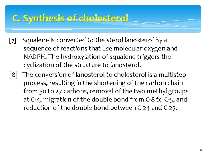 C. Synthesis of cholesterol Squalene is converted to the sterol lanosterol by a sequence
