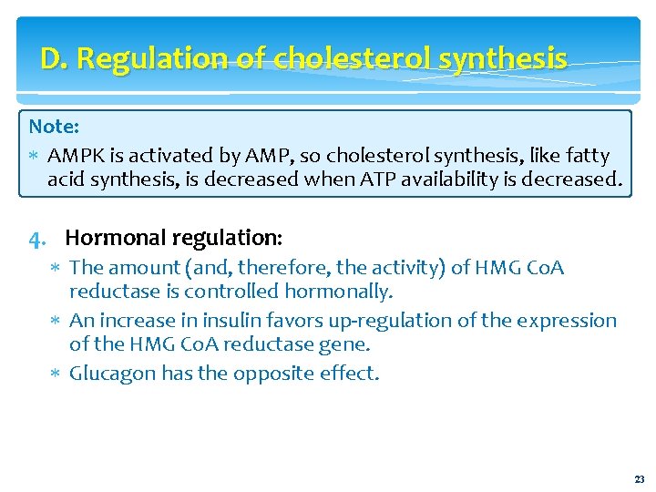 D. Regulation of cholesterol synthesis Note: AMPK is activated by AMP, so cholesterol synthesis,