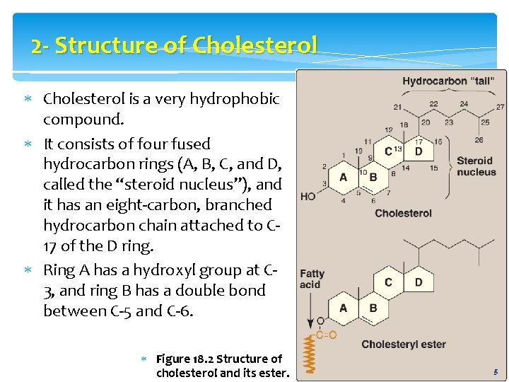 2 - Structure of Cholesterol is a very hydrophobic compound. It consists of four