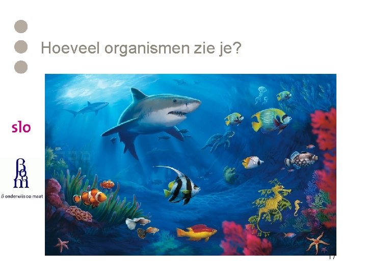 Hoeveel organismen zie je? 17 