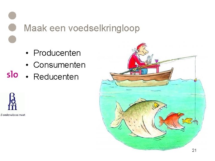 Maak een voedselkringloop • Producenten • Consumenten • Reducenten 21 