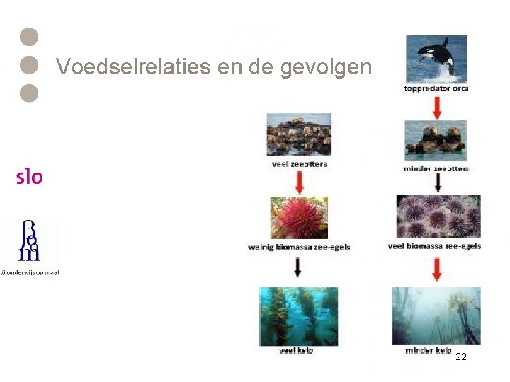 Voedselrelaties en de gevolgen 22 