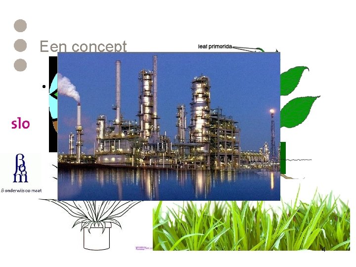 Een concept • Teken een plant 4 