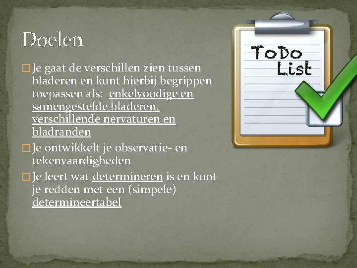 Doelen � Je gaat de verschillen zien tussen bladeren en kunt hierbij begrippen toepassen