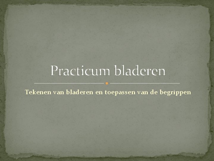 Practicum bladeren Tekenen van bladeren en toepassen van de begrippen 