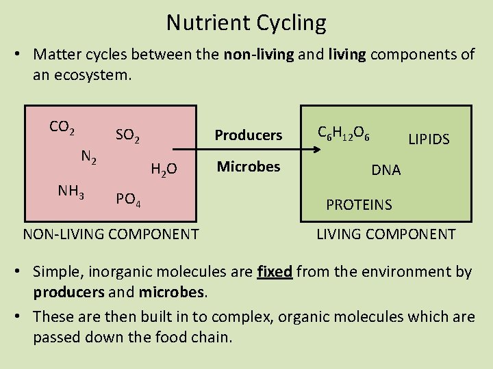 Nutrient Cycling • Matter cycles between the non-living and living components of an ecosystem.
