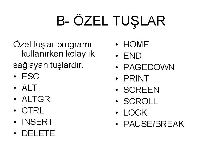 B- ÖZEL TUŞLAR Özel tuşlar programı kullanırken kolaylık sağlayan tuşlardır. • ESC • ALTGR