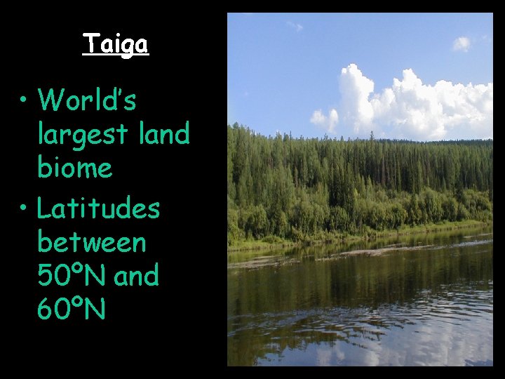 Taiga • World’s largest land biome • Latitudes between 50ºN and 60ºN 