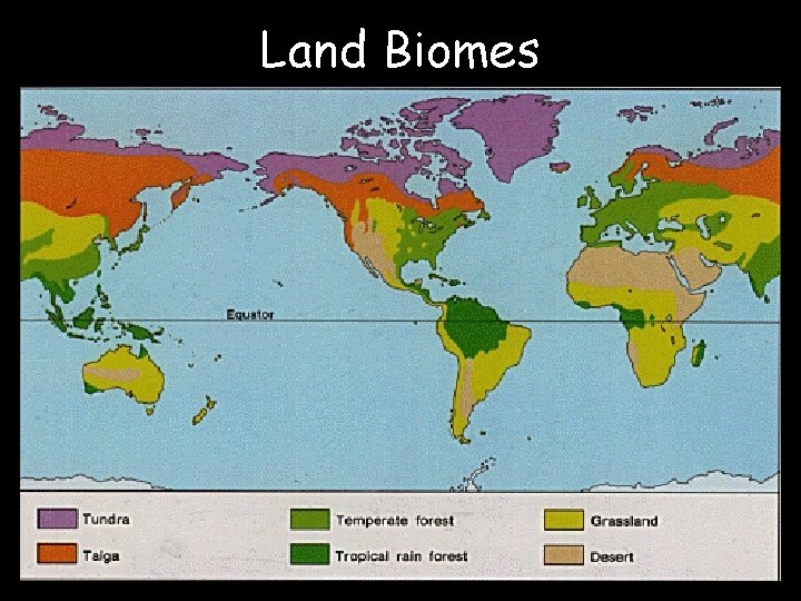 Land Biomes 