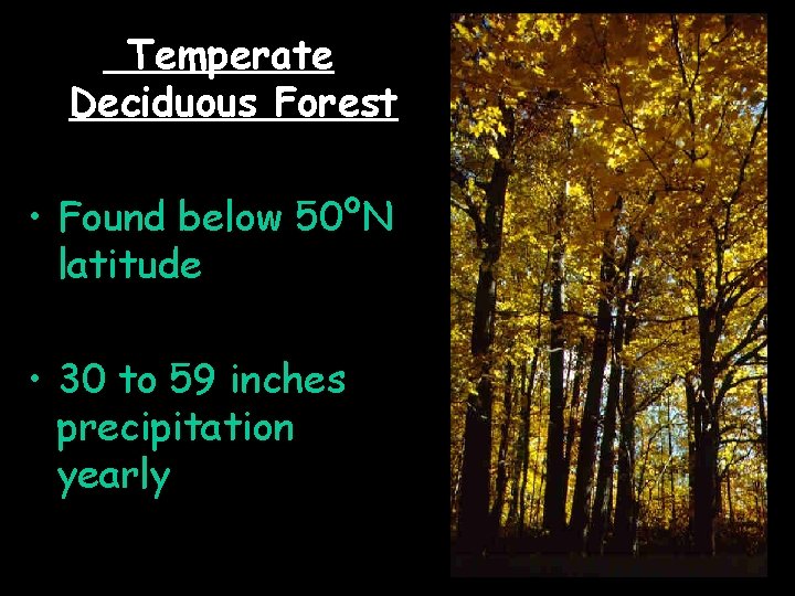 Temperate Deciduous Forest • Found below 50ºN latitude • 30 to 59 inches precipitation