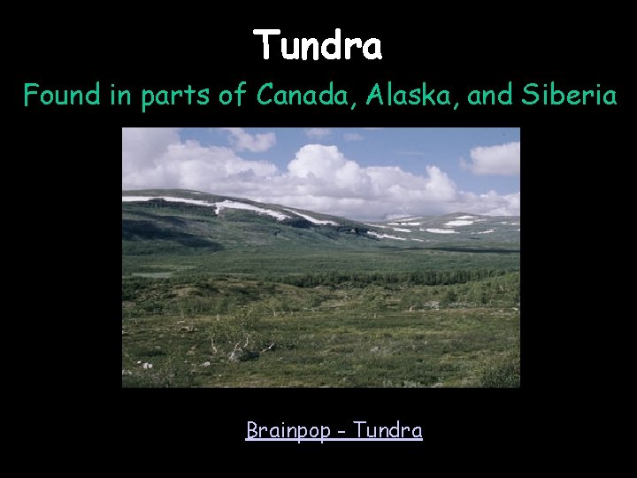 Tundra Found in parts of Canada, Alaska, and Siberia Brainpop - Tundra 