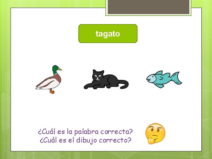 tagato ¿Cuál es la palabra correcta? ¿Cuál es el dibujo correcto? 