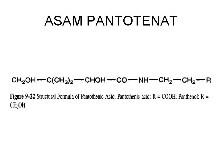 ASAM PANTOTENAT 