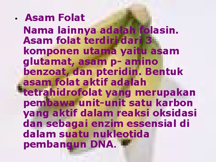  • Asam Folat Nama lainnya adalah folasin. Asam folat terdiri dari 3 komponen