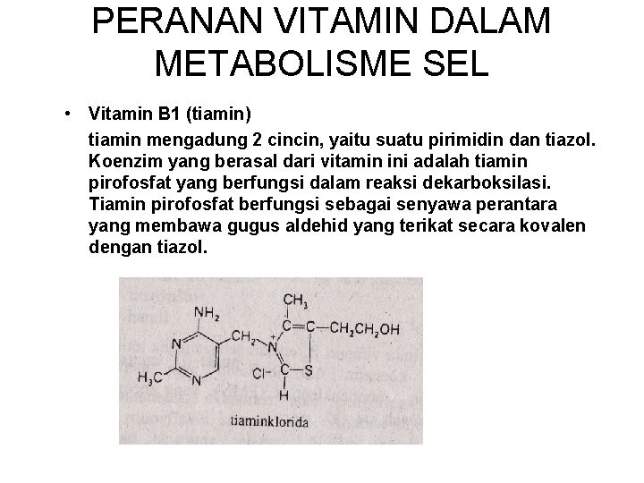PERANAN VITAMIN DALAM METABOLISME SEL • Vitamin B 1 (tiamin) tiamin mengadung 2 cincin,