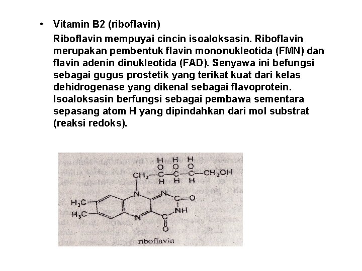  • Vitamin B 2 (riboflavin) Riboflavin mempuyai cincin isoaloksasin. Riboflavin merupakan pembentuk flavin