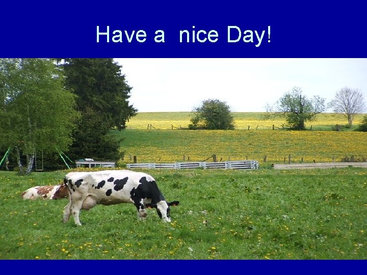 Have a nice Day! 