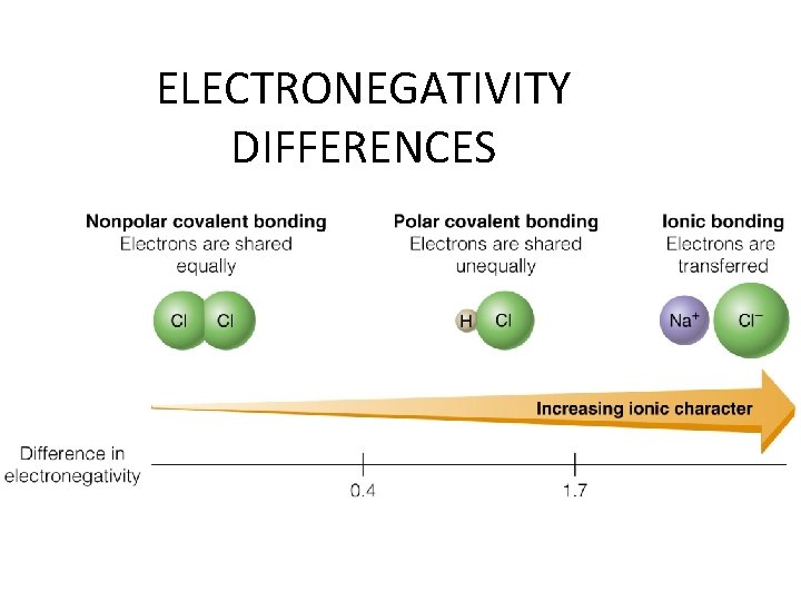 ELECTRONEGATIVITY DIFFERENCES 