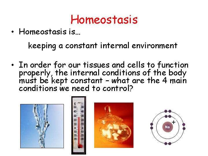 Homeostasis • Homeostasis is… keeping a constant internal environment • In order for our