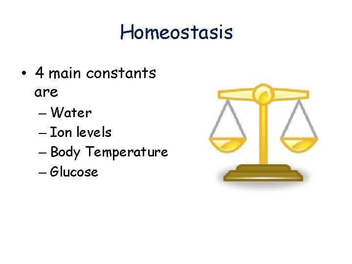Homeostasis • 4 main constants are – Water – Ion levels – Body Temperature
