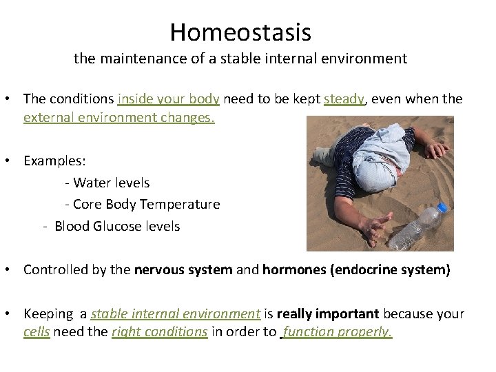 Homeostasis the maintenance of a stable internal environment • The conditions inside your body