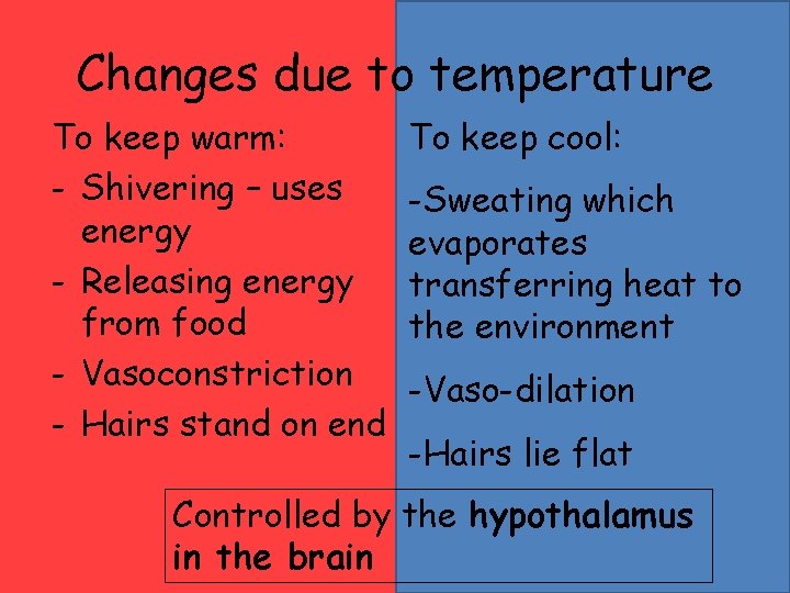Changes due to temperature To keep warm: - Shivering – uses energy - Releasing