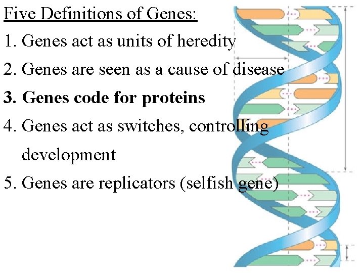 Five Definitions of Genes: 1. Genes act as units of heredity 2. Genes are