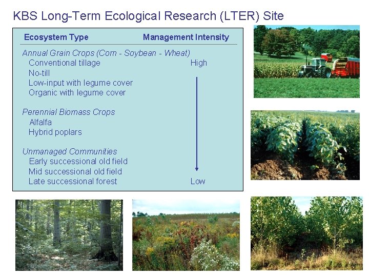 KBS Long-Term Ecological Research (LTER) Site Ecosystem Type Management Intensity Annual Grain Crops (Corn