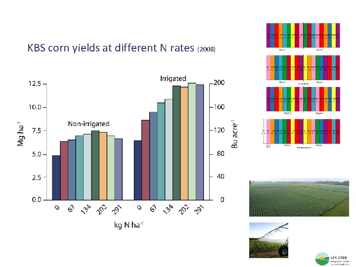 KBS corn yields at different N rates (2008) 