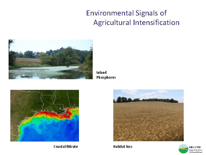 Environmental Signals of Agricultural Intensification Inland Phosphorus Coastal Nitrate Habitat loss 