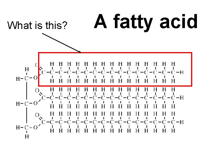 What is this? A fatty acid 