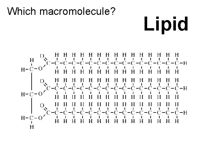 Which macromolecule? Lipid 