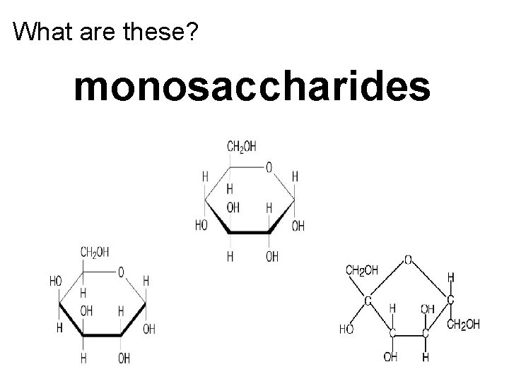 What are these? monosaccharides 