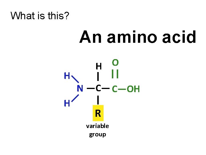 What is this? An amino acid H O H | || —C— C—OH —N—