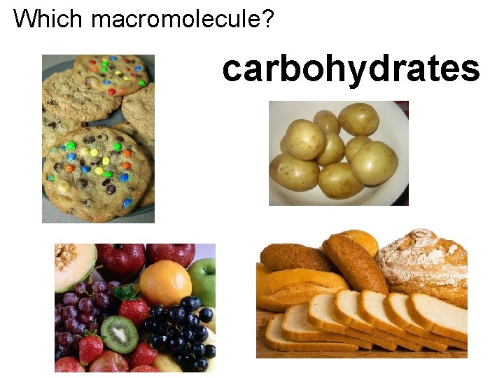 Which macromolecule? carbohydrates 