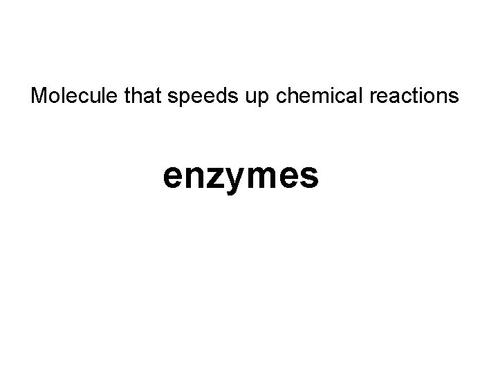 Molecule that speeds up chemical reactions enzymes 