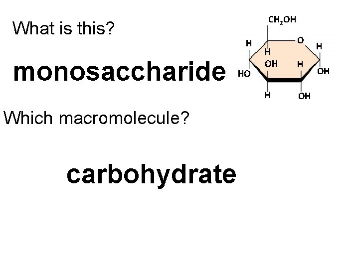 What is this? monosaccharide CH 2 OH H HO H OH H Which macromolecule?