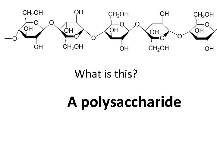 What is this? A polysaccharide 