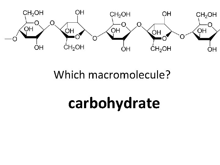 Which macromolecule? carbohydrate 