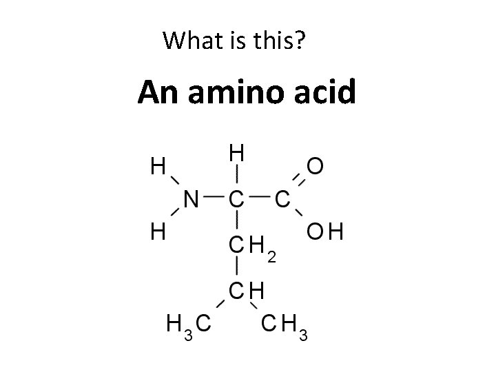 What is this? An amino acid 