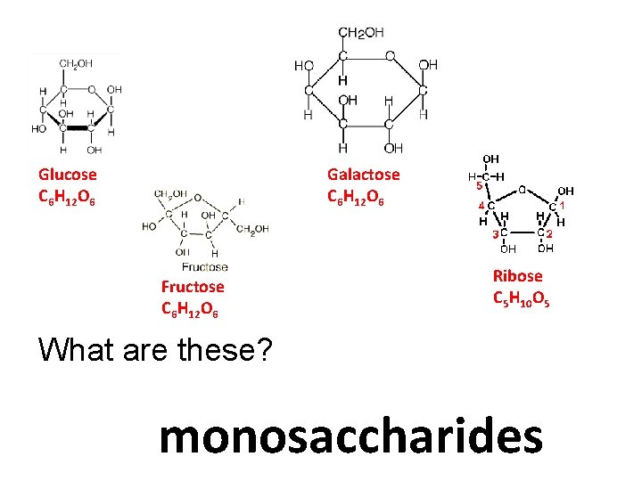 Glucose C 6 H 12 O 6 Galactose C 6 H 12 O 6