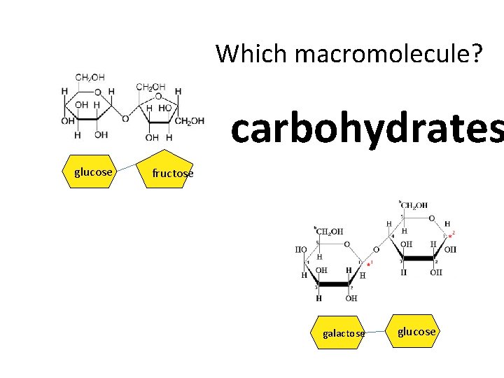 Which macromolecule? carbohydrates glucose fructose galactose glucose 